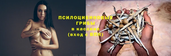 СК Белокуриха