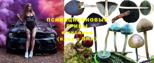СК Белокуриха