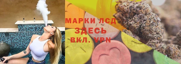 СК Белокуриха
