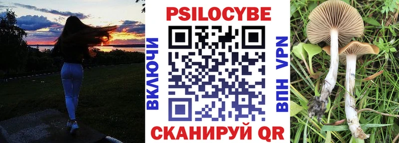 Галлюциногенные грибы Psilocybe  Шумиха 