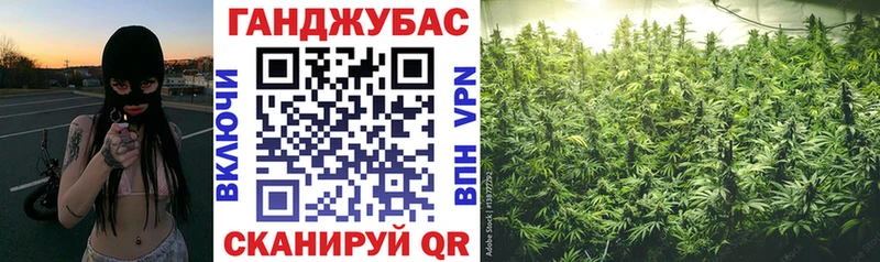 Бошки Шишки гибрид  Шумиха 